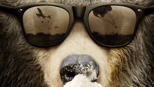 Cocaine Bear: The True Story lektor pl