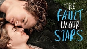 The Fault in Our Stars 2014