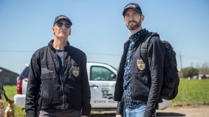 NCIS: New Orleans: Stagione 4 x Episodio 21