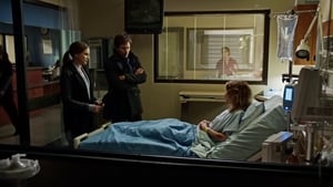 Perception Staffel 3 Folge 8