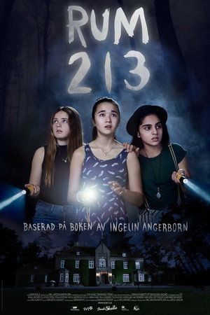 Room 213 14