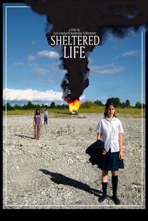 Poster Sheltered Life 2008