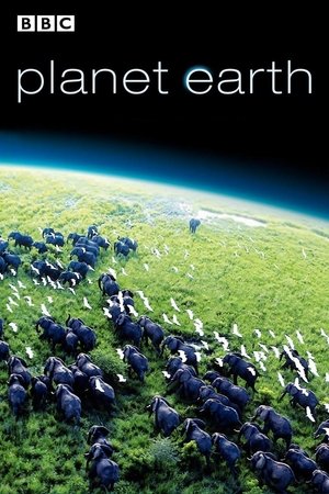 Planet Earth (2006)