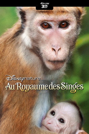 Monkey Kingdom 16