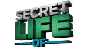 poster The Secret Life of...