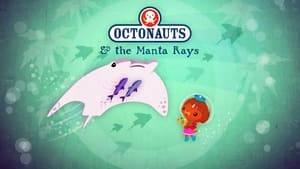 Octonauts The Manta Rays