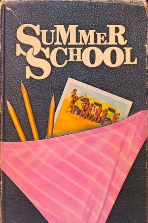 Summer School poster