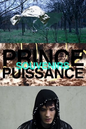 Prince, puissance, souvenirs