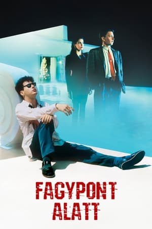 Poster Fagypont alatt 1987