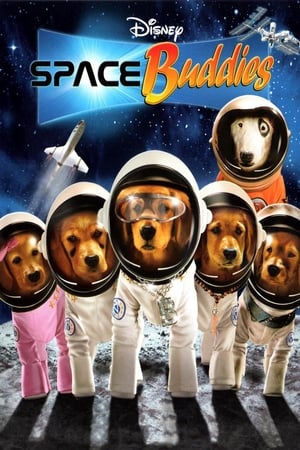 Image Space Buddies: Cachorros en el espacio