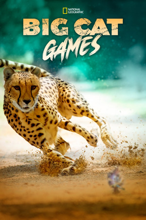 Big Cat Games 7