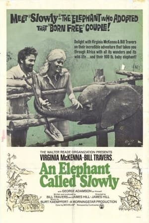 Poster An Elephant Called Slowly 1969