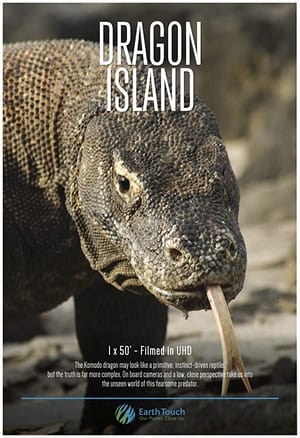 Poster Dragon Island (2016)