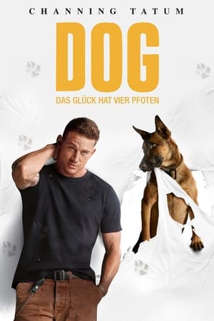 poster Dog