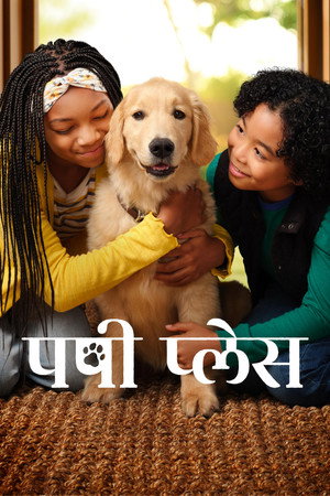 पपी प्लेस