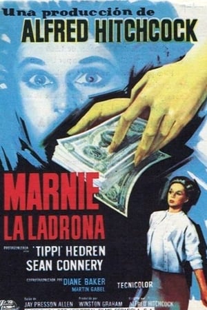 Poster Marnie, la ladrona 1964