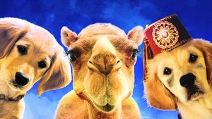 مشاهدة فيلم Treasure Buddies 2012 مترجم