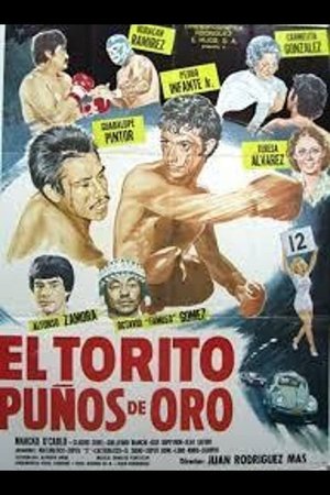 Poster El torito puños de oro (1979)