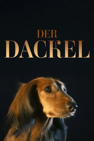 Image The Dachshund