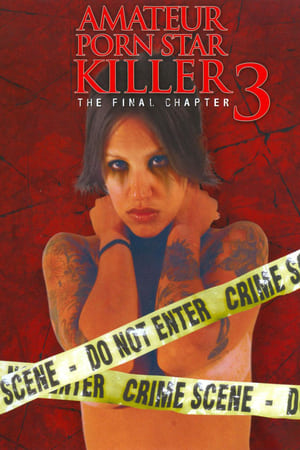 Poster Amateur Porn Star Killer 3: The Final Chapter 2009