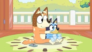 Bluey Season 3 Episode 20