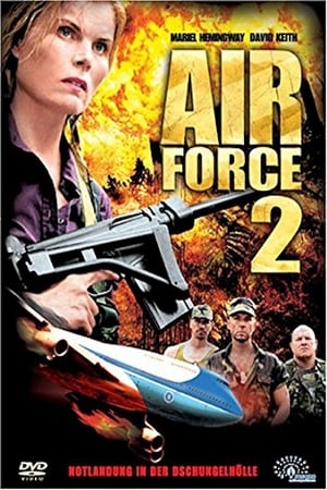 Air Force Two (2006)