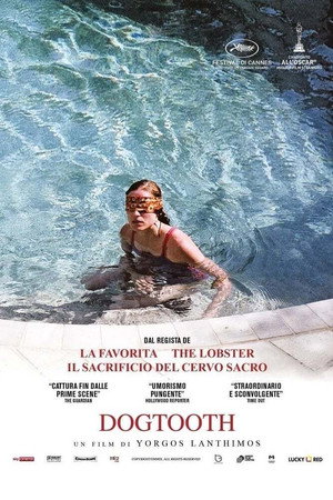 Dogtooth 131