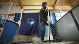 Journeys in Japan: 12×9