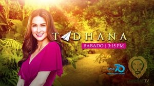 Tadhana