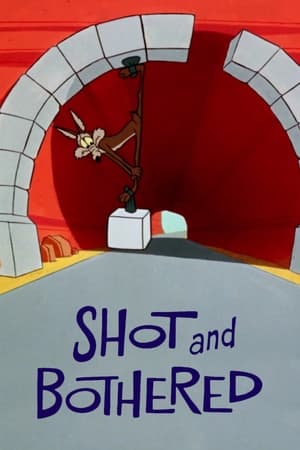 Shot and Bothered poster