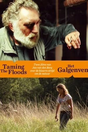 Poster Taming the Floods (1999)