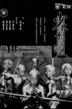 Poster 少林十八銅人 1996