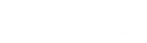 Camo Sharks — Logos 3