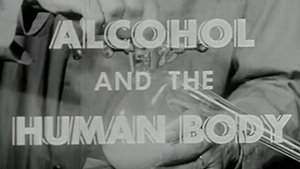 Alcohol and the Human Body