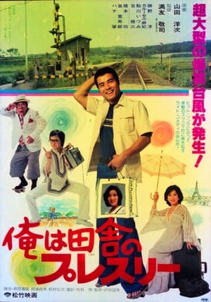 Poster 俺は田舎のプレスリー (1978)