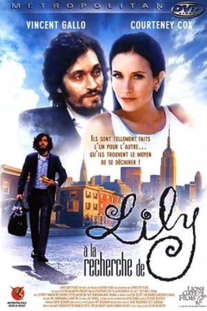 Poster A la recherche de Lily 2001