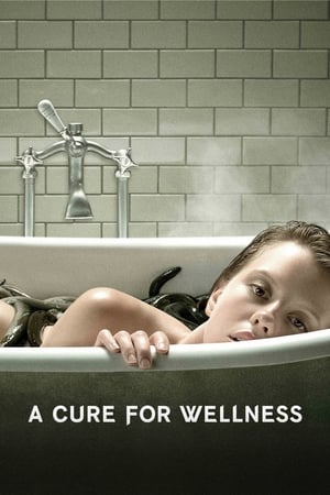 Download A Cure for Wellness (2016) Dual Audio {Hindi-English} BluRay 480p [450MB] | 720p [1.5GB] | 1080p [3.9GB]