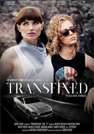 Poster Transfixed 3 (2019)