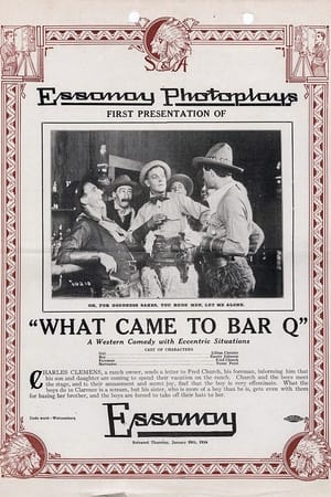 Poster What Came to Bar Q (1914)