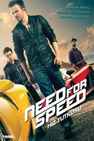 Need For Speed: Hız Tutkusu 2014