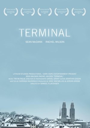 Poster Terminal 2013