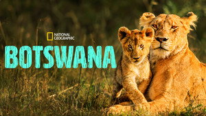 Botswana backdrop