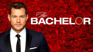 poster The Bachelor