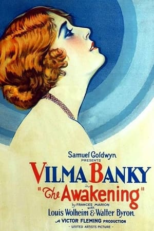 Poster The Awakening (1928)