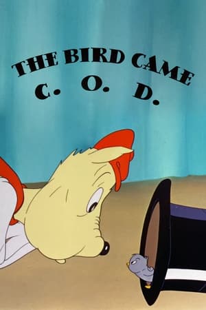 Poster The Bird Came C.O.D. 1942