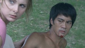 The Legend of Bruce Lee: 1×26