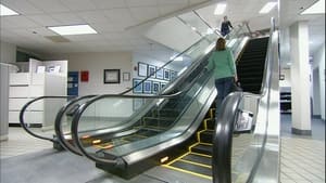 Image Escalators, Kevlar Canoes, Goat Cheese, Disc Music Boxes