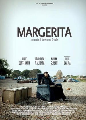 Poster Margerita (2013)