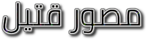 Snapshot — Logos 2