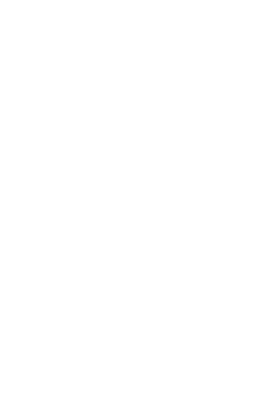 Ảnh 39